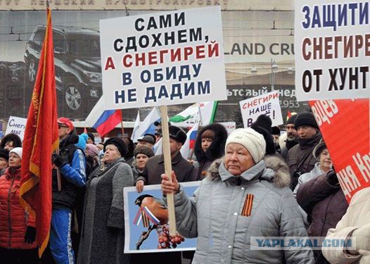 Год майдану. Не забудем, не простим!