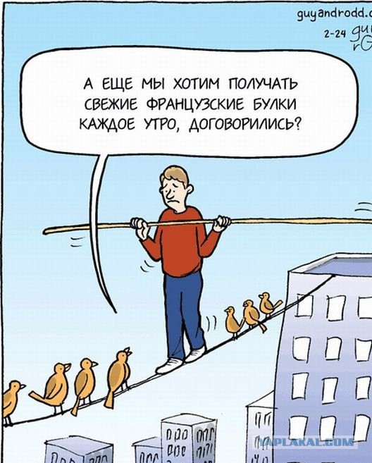 Демотиваторы вторника