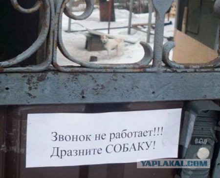 Картинки  разные