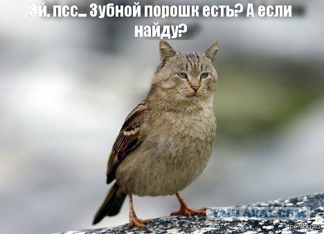 Роспотребнадзор изымает импортные моющие средста