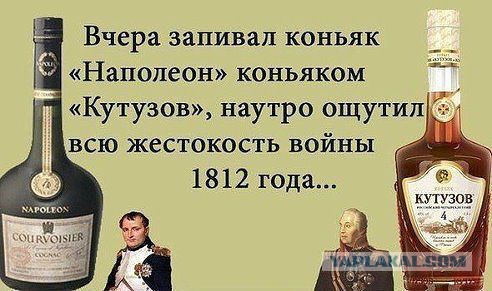 Прикольные картинки и демотиваторы