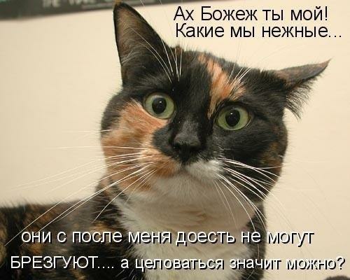 Подборка забавных картинок