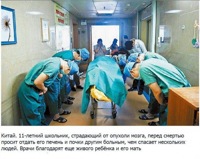 12 фотографий с уникальной историей