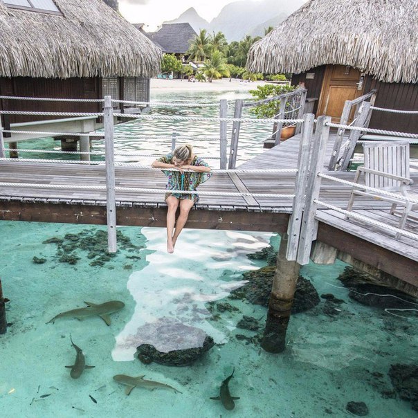 Интересные и веселые картинки