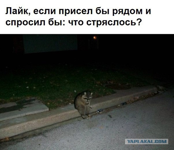 Подборка картинок