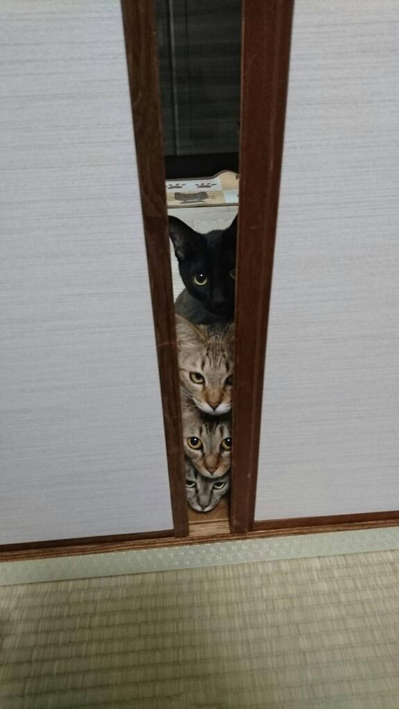 Интересные и веселые картинки