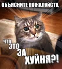 США реальная зарплата и реальные минимальные расходы