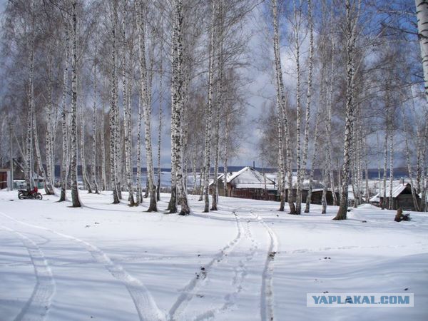 Мой родной сибирский поселок