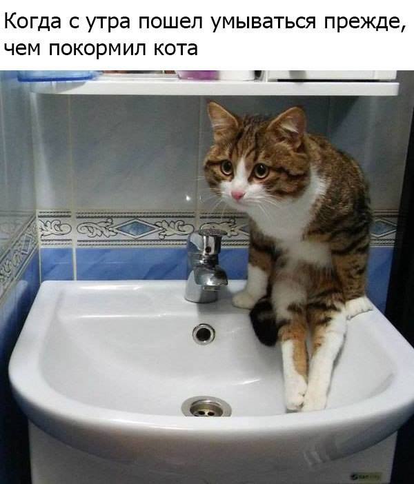 Подборка интересных и веселых картинок