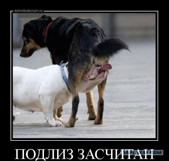 Вопреки заявлениям Путина россияне в 2017 году продолжили нищать