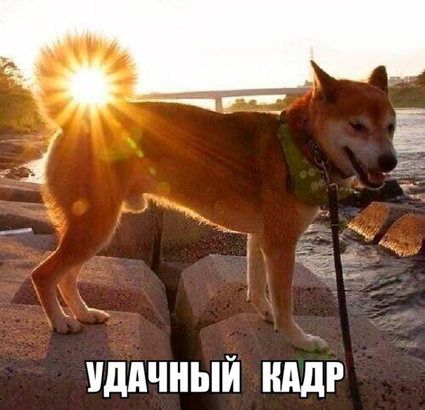 От работы оторвись и к картинкам присмотрись!