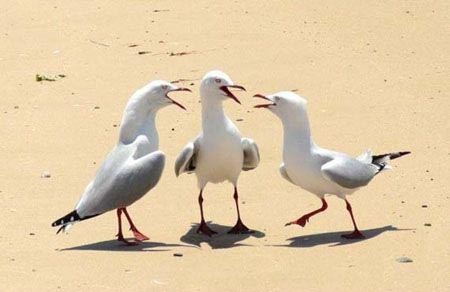 Наркоманских анекдотов с картинками