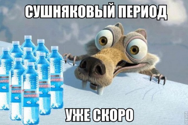 Итоги проверки пользователей