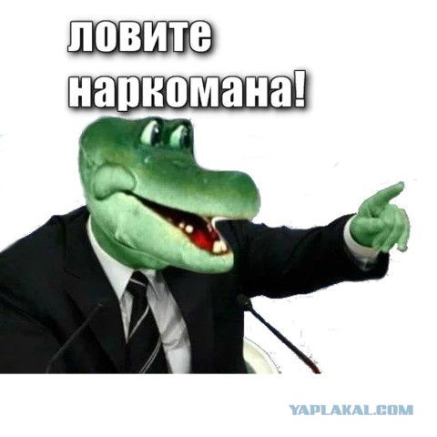 Сегодня вторник, а значит уже немножко пятница, поэтому пора деградировать!