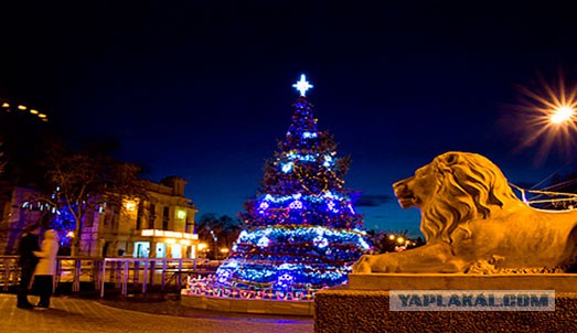 Сегодня зажгли елки в городах