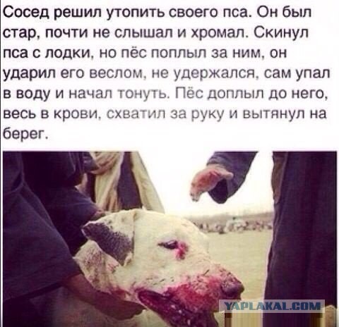 Трусость и смелость