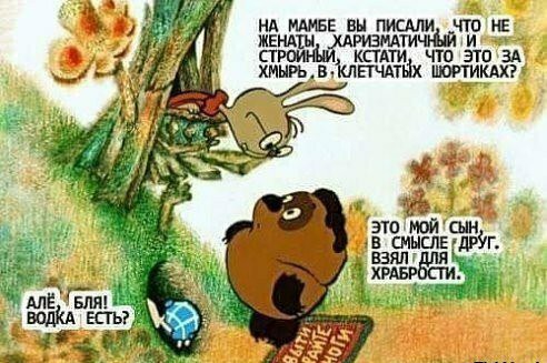 Прикольные комментарии и высказывания из Сети