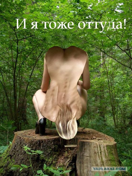 Отжабьте меня пожалуйста