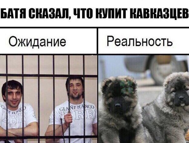 Юмор и прикольные картинки 04.12.2020