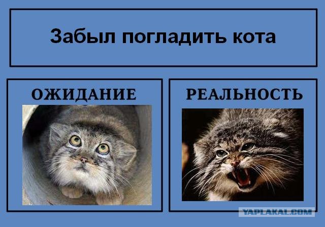 Фотожаба: Ожидание / Реальность