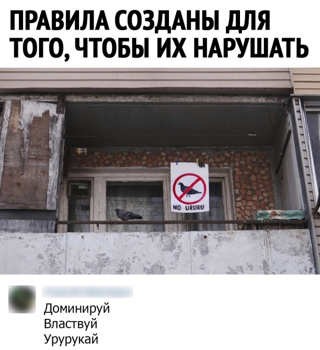 Картинки обо всëм. 07.01.20