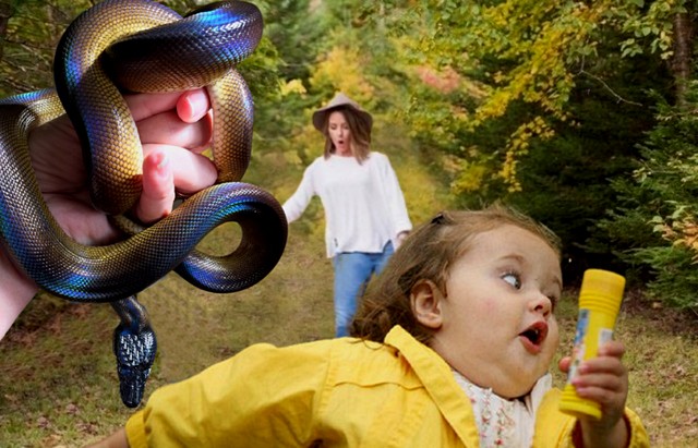 Фотожаба: семья в лесу