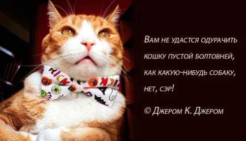 Верная примета