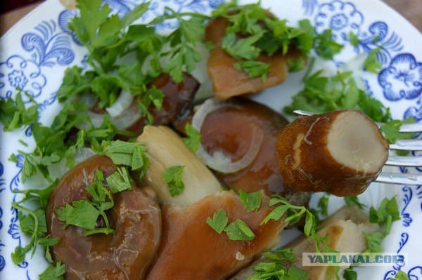 Осень в банках