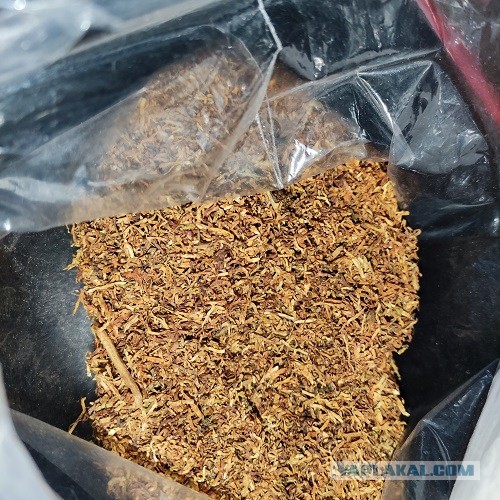 Пачка сигарет из натурального развесного табака стоит всего 36 рублей.