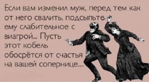 Так себе картинки 14.07.22