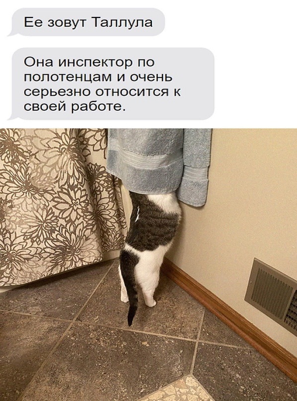 Немного картинок для настроения - 125