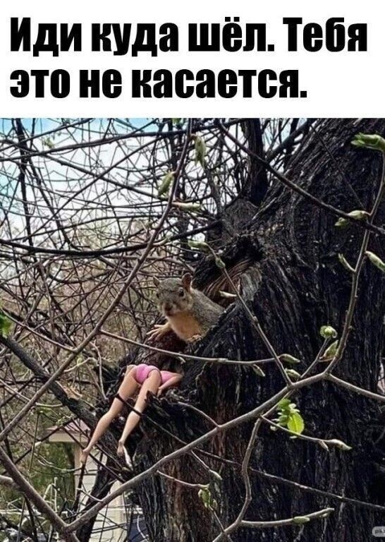 Юмор в картинках и без 24.04.2023
