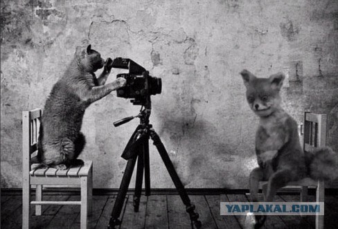 Ну что, кто доехал таки до упоротого лиса? :)