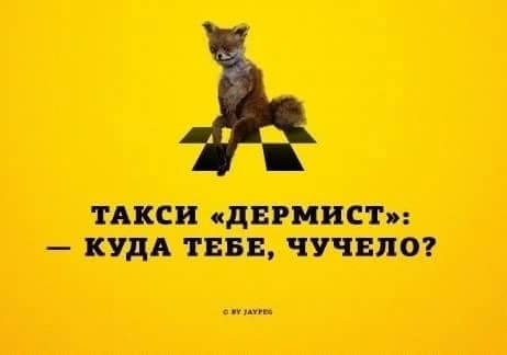 Тринадцатая подборка самых баянистых баянов! Ностальгируем...