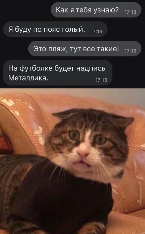 Всего понемногу. От 24.08.2023