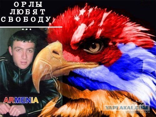 Дикие фото из социальных сетей