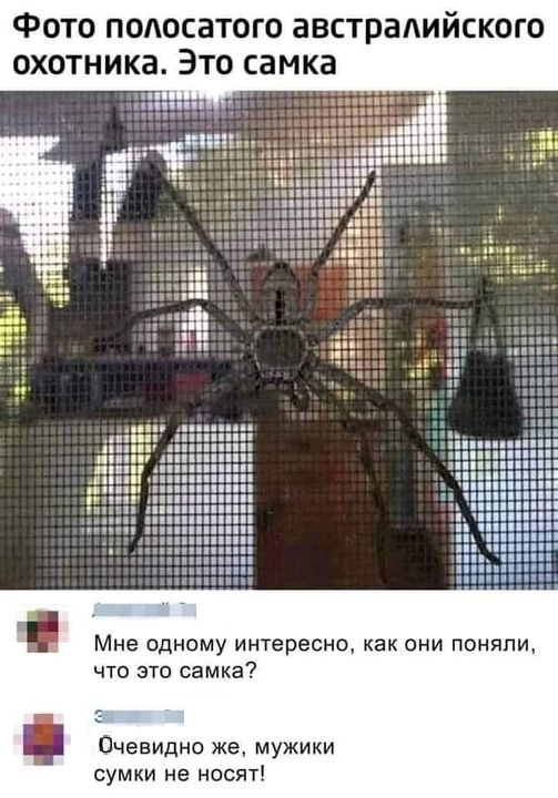 Картинки разные с надписями и без
