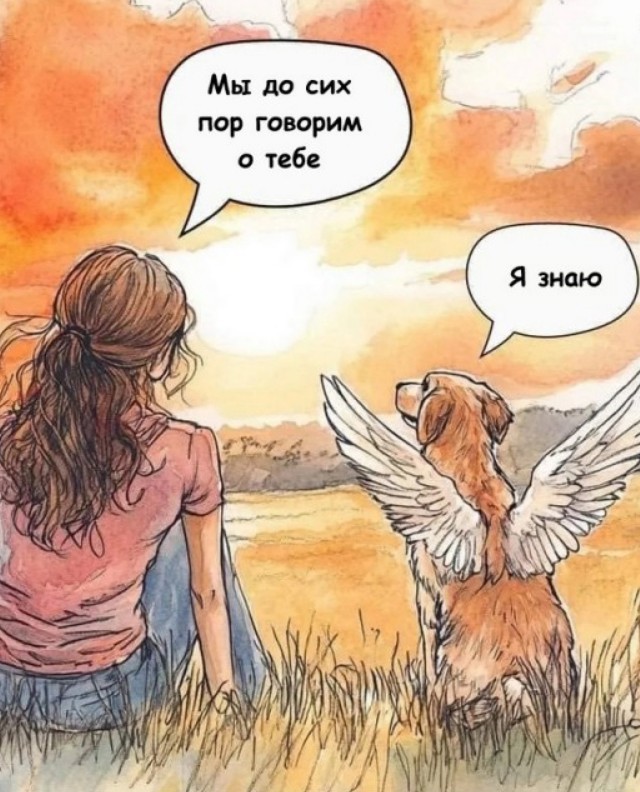 Пост одной картинки