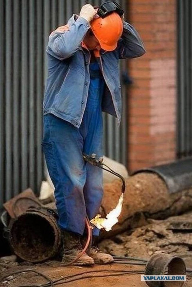 Зумеры разрушают экономику