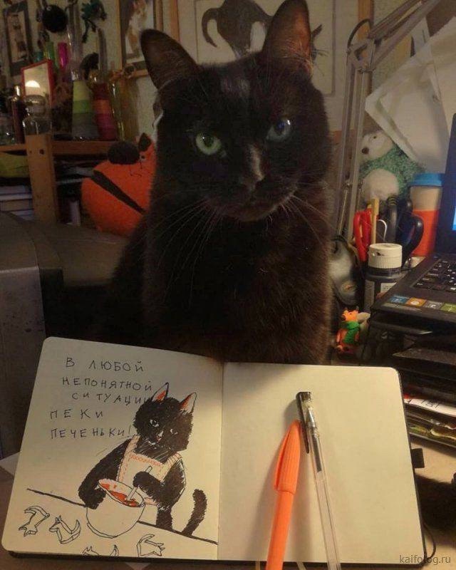 К котовторнику: подборка картинок-баянов с котиками и про котиков. Выпуск 11