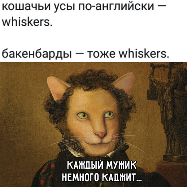 Картинки для деградации 54 (разной степени свежести)