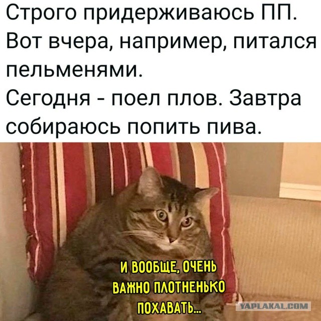 Небаянистая деградация 11
