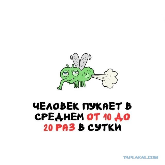 Интересные и короткие факты на все случаи жизни 19.04.26