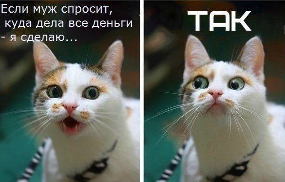 Не про олимпиаду