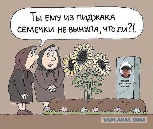Смешные комментарии из социальных сетей (апрель)