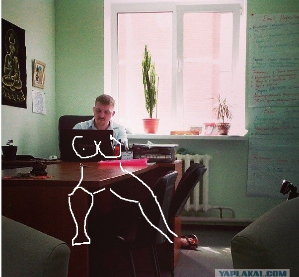 Просто фото друга в его офисе