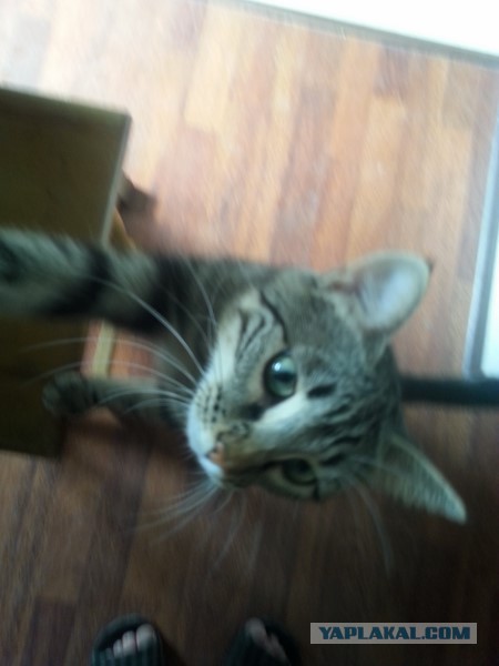 Как провести день, или сказка наяву!