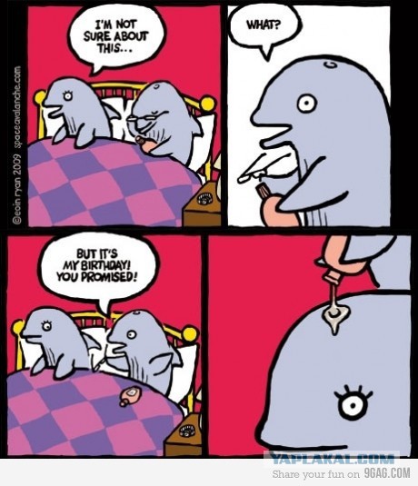 Смешные картинки и комментарии