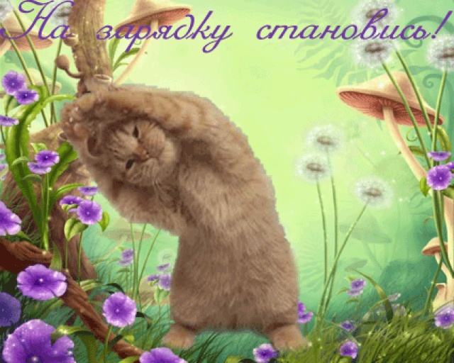 Добряки, плюсующие всех подряд