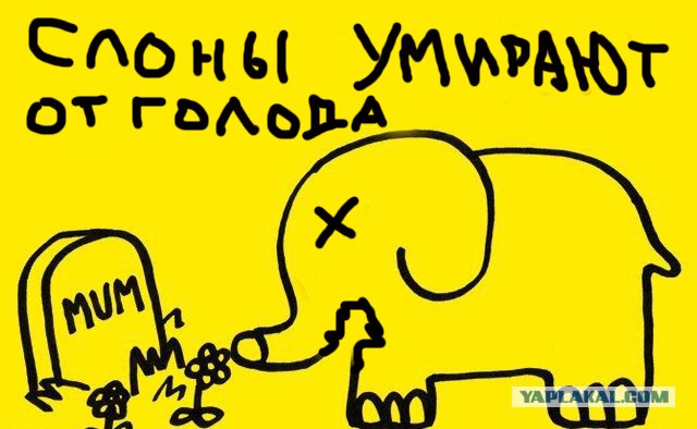 Забавные минифакты в картинках